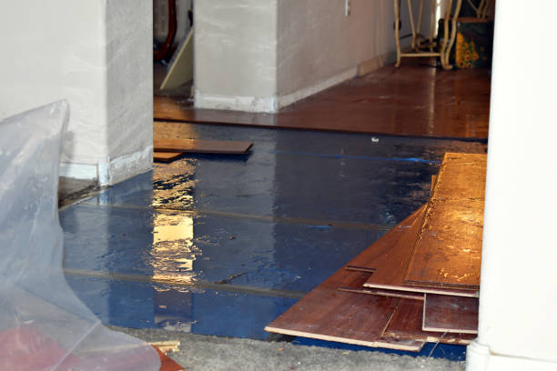 Professional Basement Flood Cleanup technician working in Edon, OH